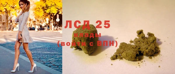 apvp Гусь-Хрустальный