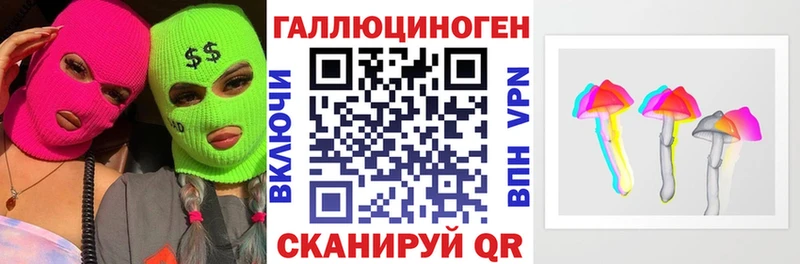 Купить где  Любим  Галлюциногенные грибы Psilocybine cubensis 